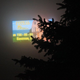 Image for article titled Even God Runs Windows XP